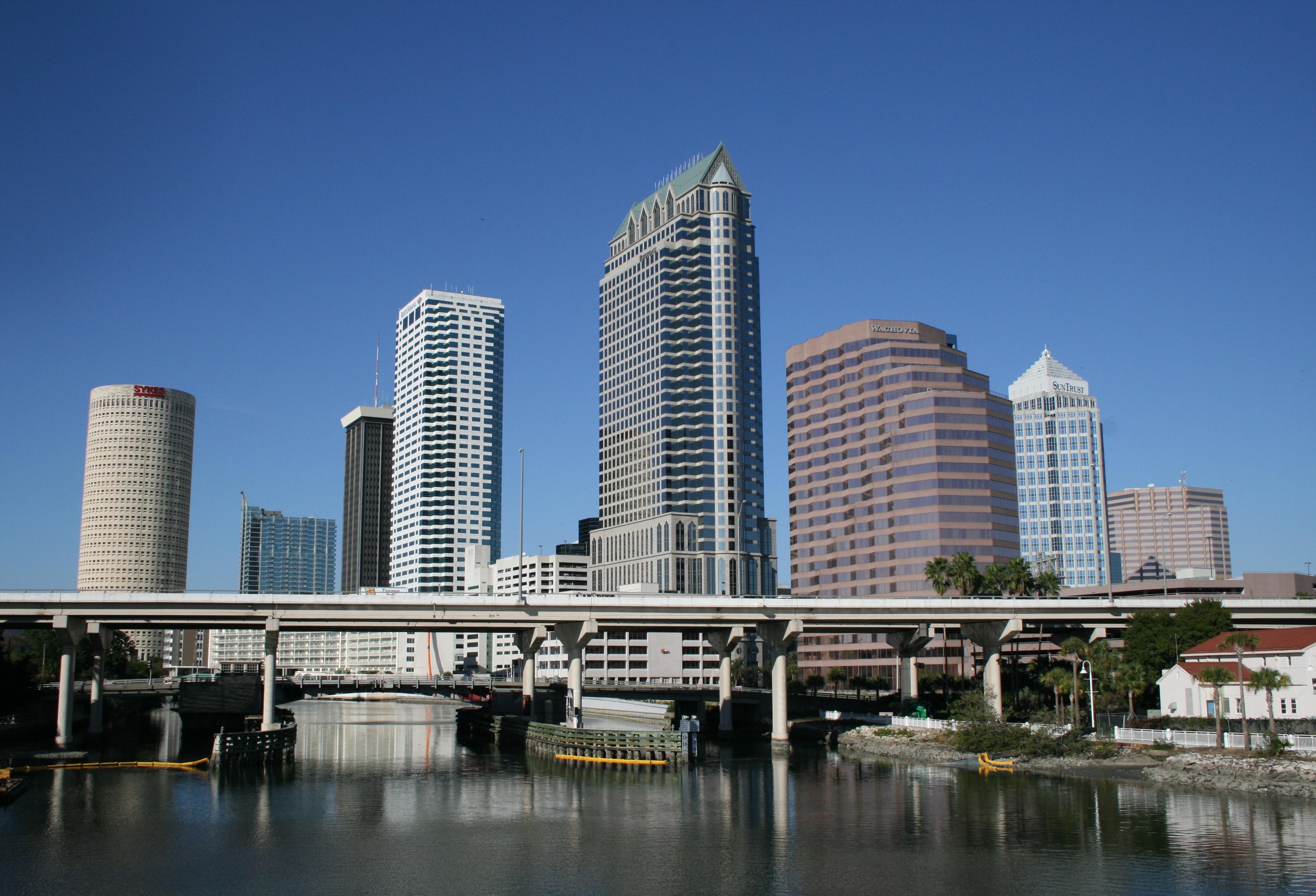 Tampa Bay Chapter Banner