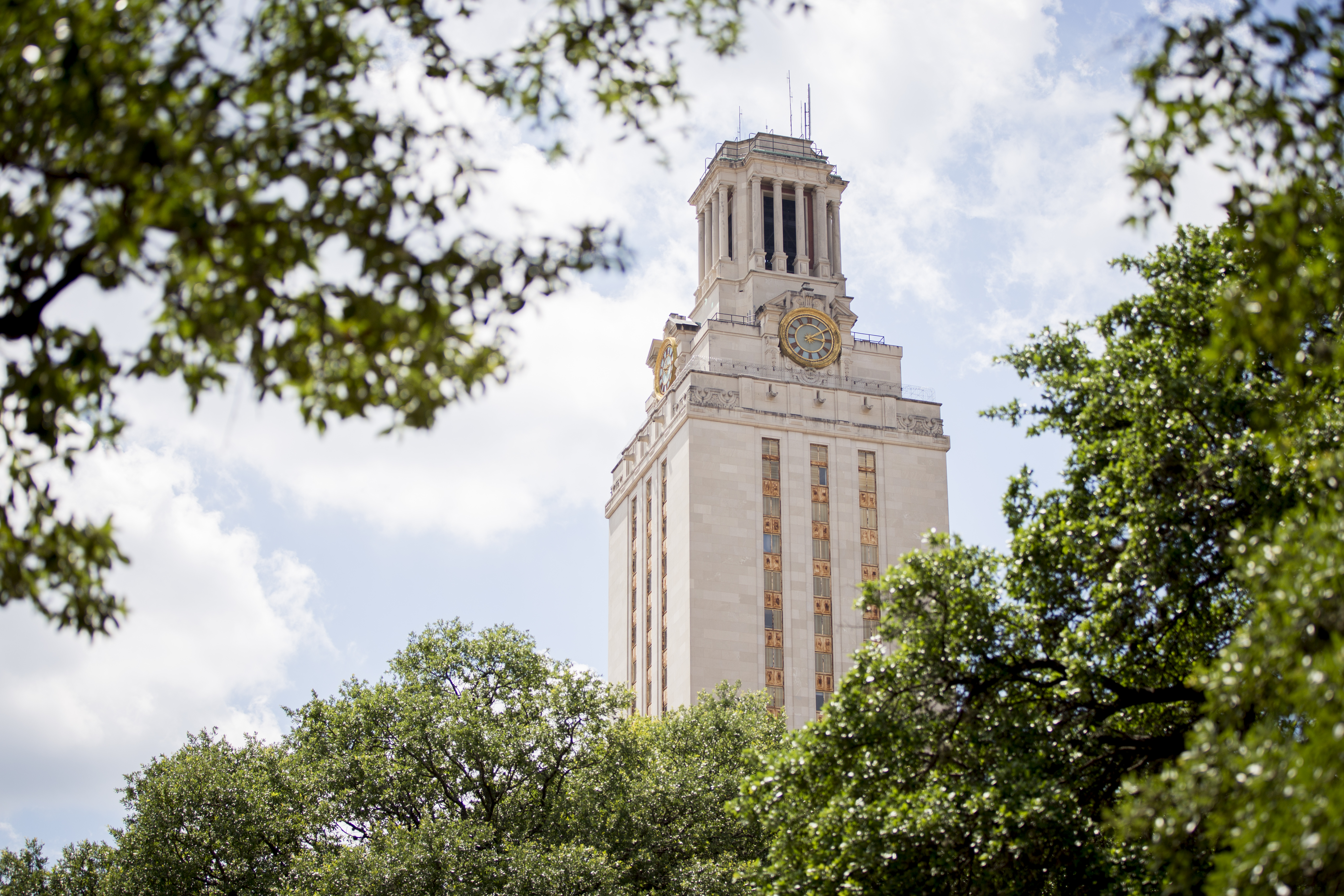 UT Tower with Trees