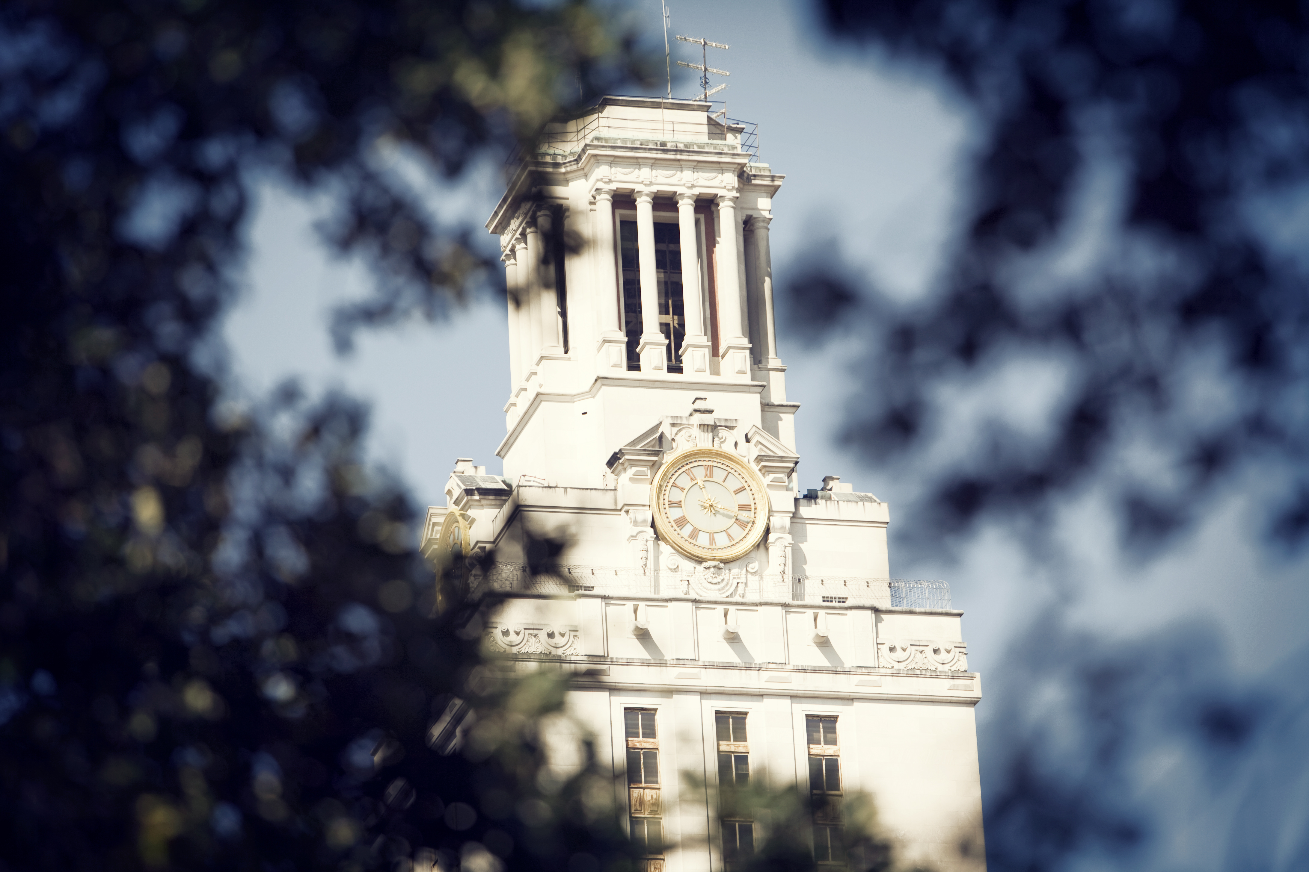 UT Tower Closeup Through Leaves
