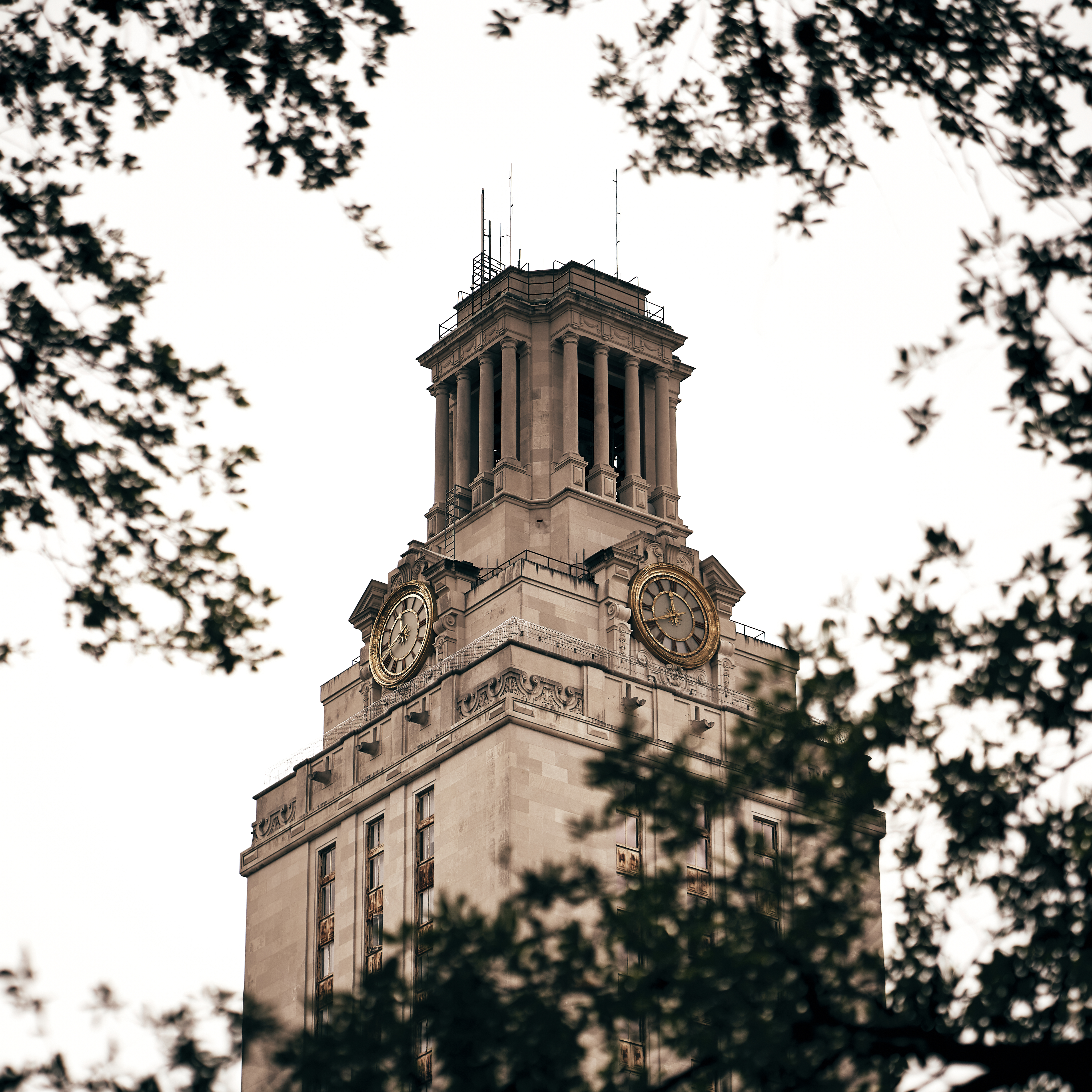 UT Tower