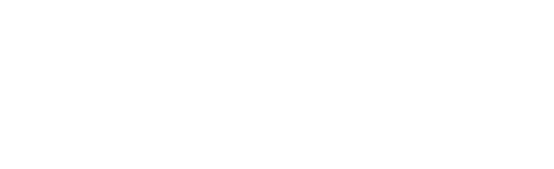 San Francisco Bay Area Texas Exes Logo