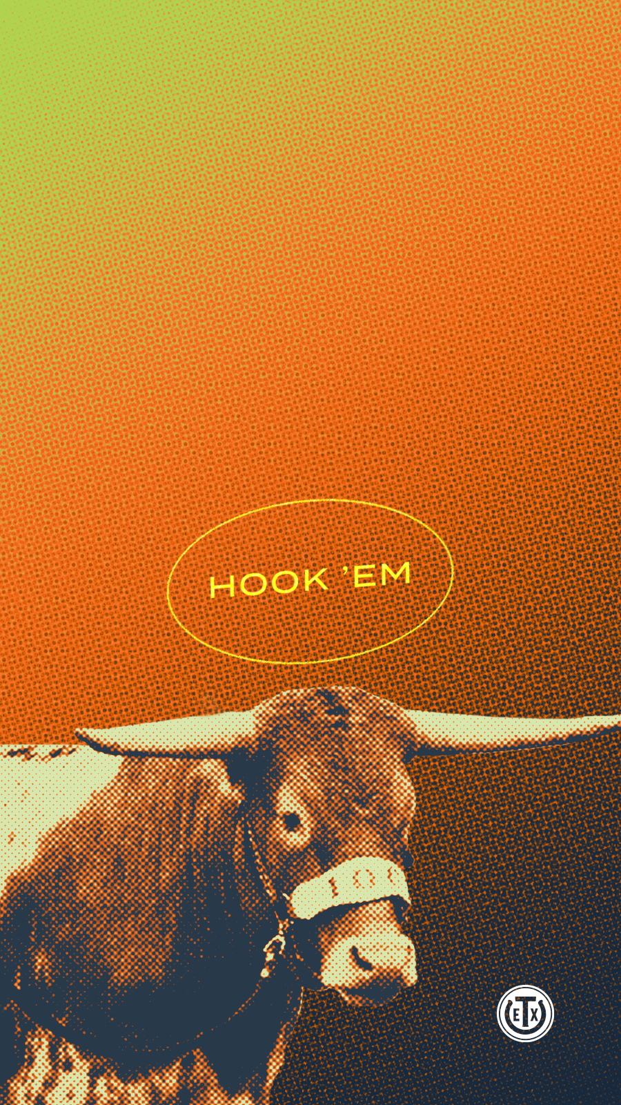Texas Longhorn Pictures  Download Free Images on Unsplash