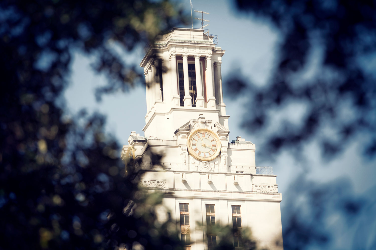 UT Tower Through Leaves