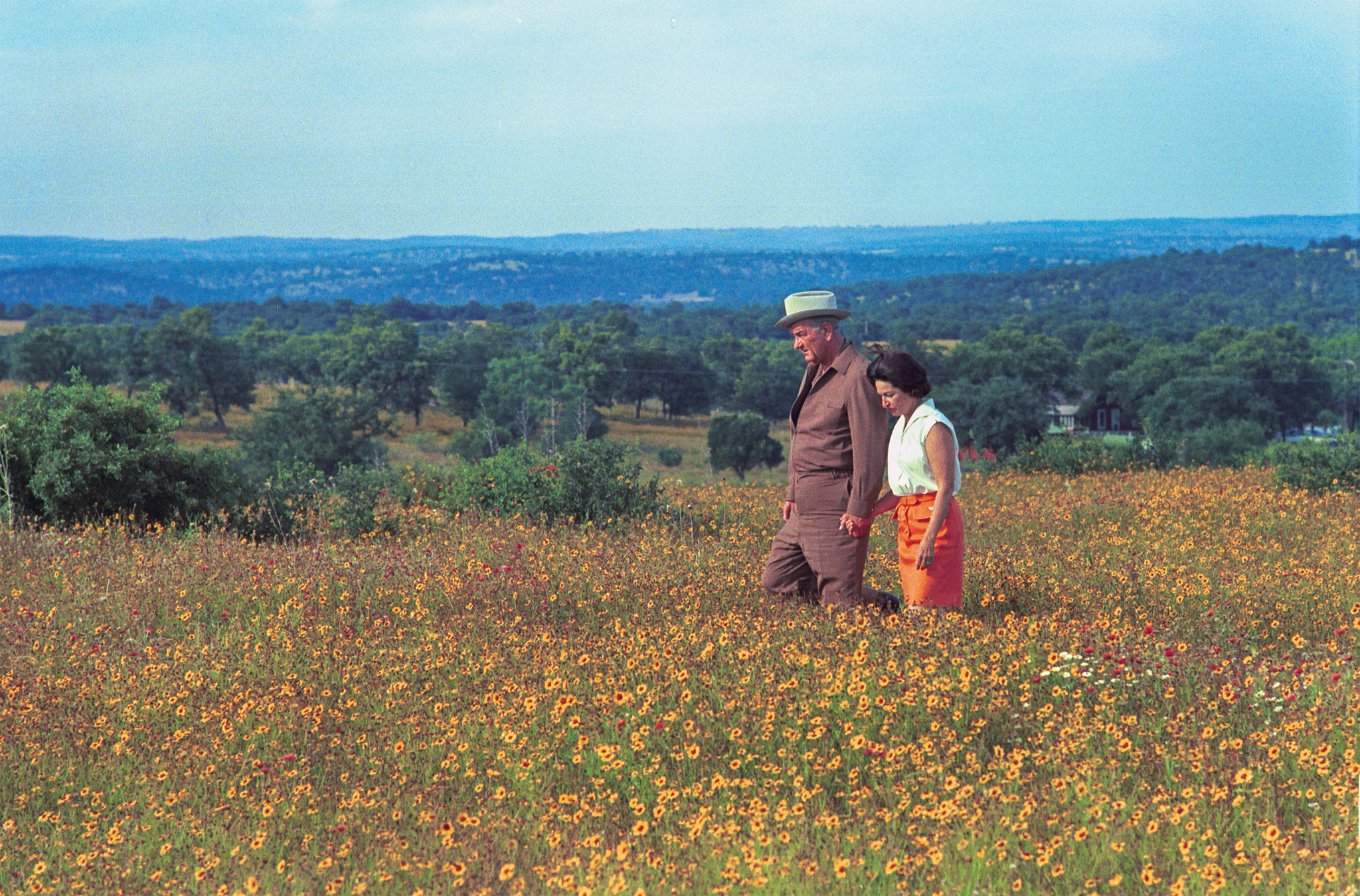 wildflowers