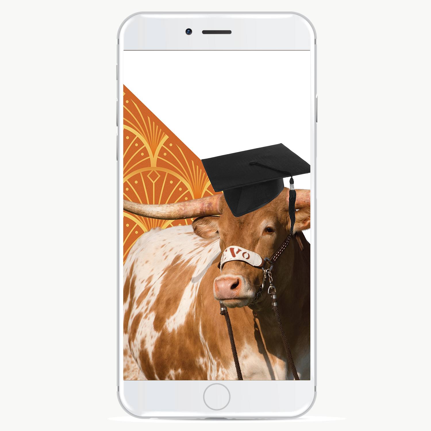 Bevo Grad Mockup