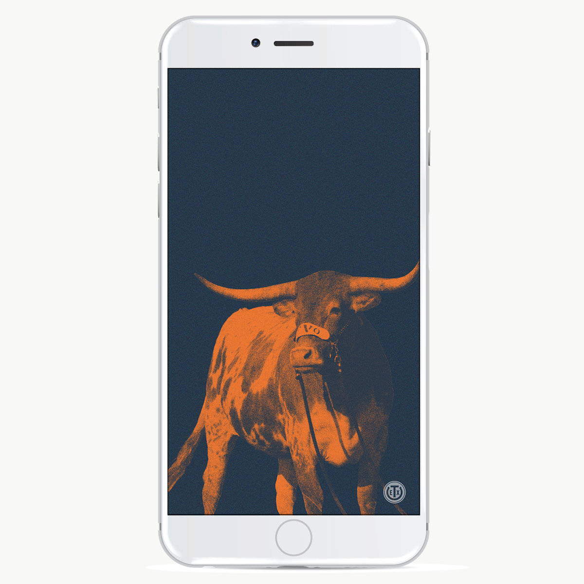 Texas longhorn 1080P 2K 4K 5K HD wallpapers free download  Wallpaper  Flare