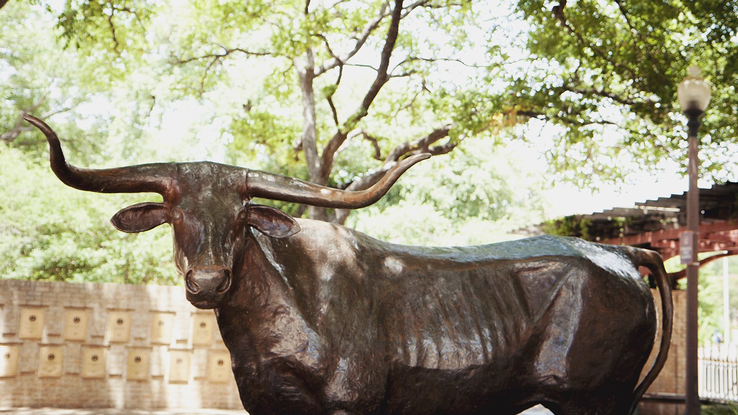 Bevo Sculpture