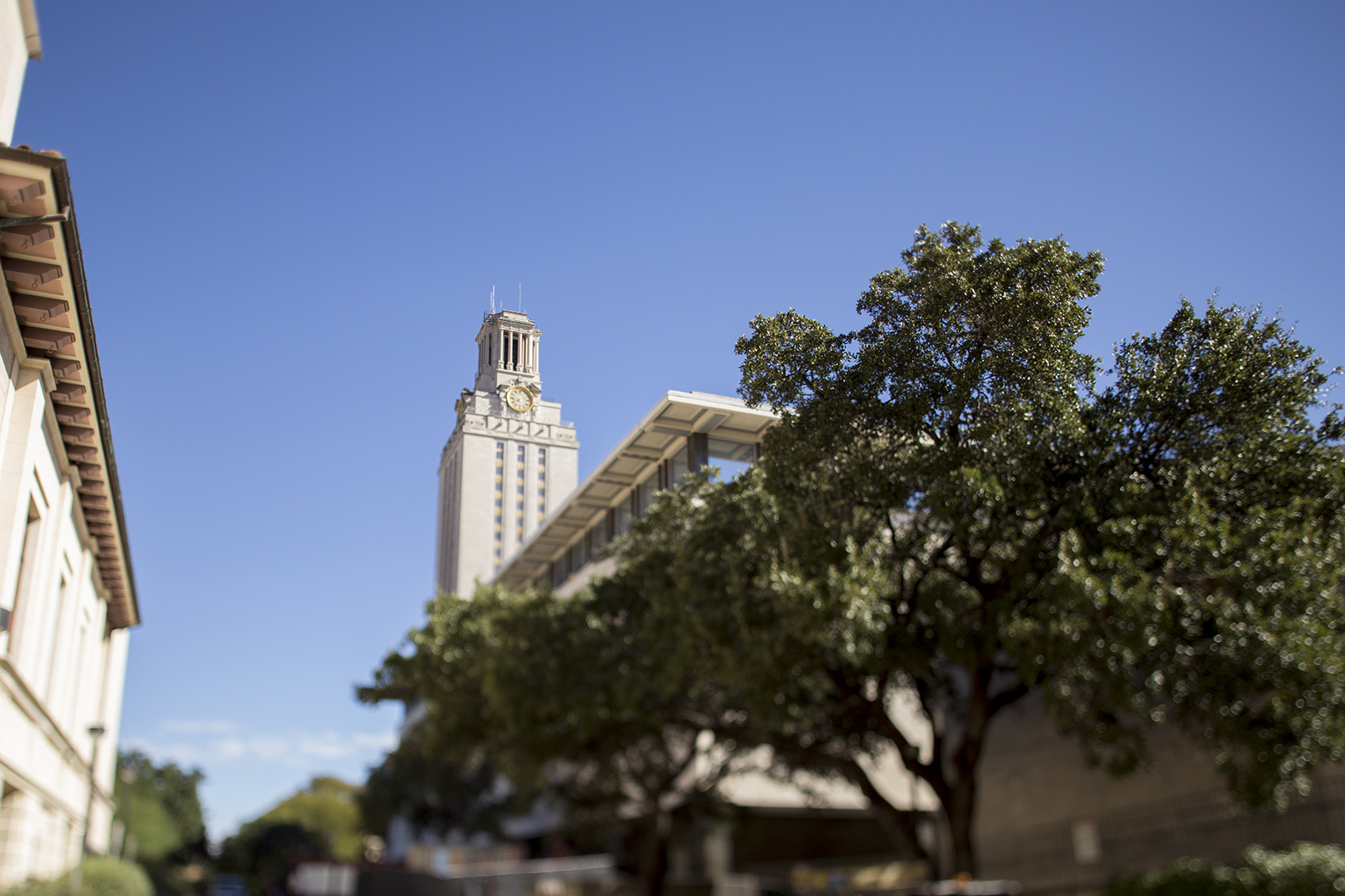 Front of Tower with Trees