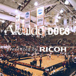 Alcalde Doc Volleyball