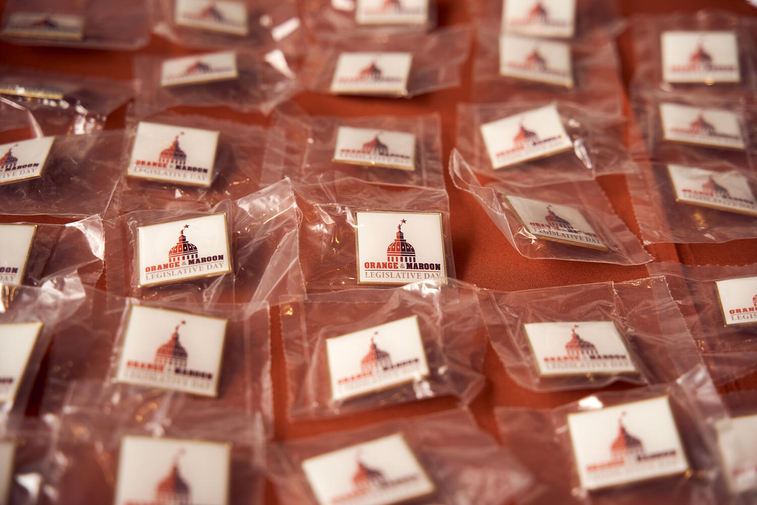 OMLD lapel pins await their Orange and Maroon advocates.