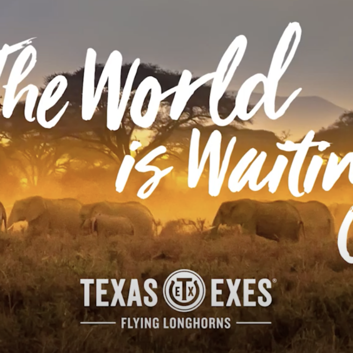 Texas Exes Flying Longhorns Travel Program