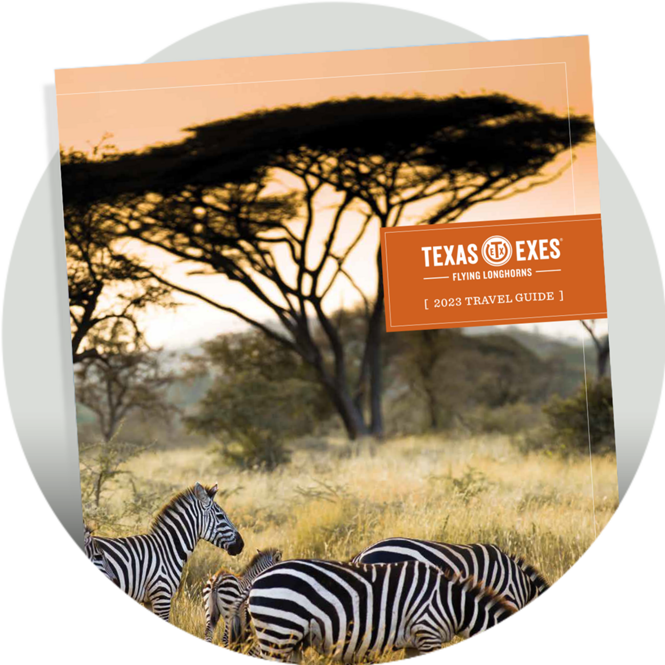 Texas Exes Flying Longhorns Travel Program