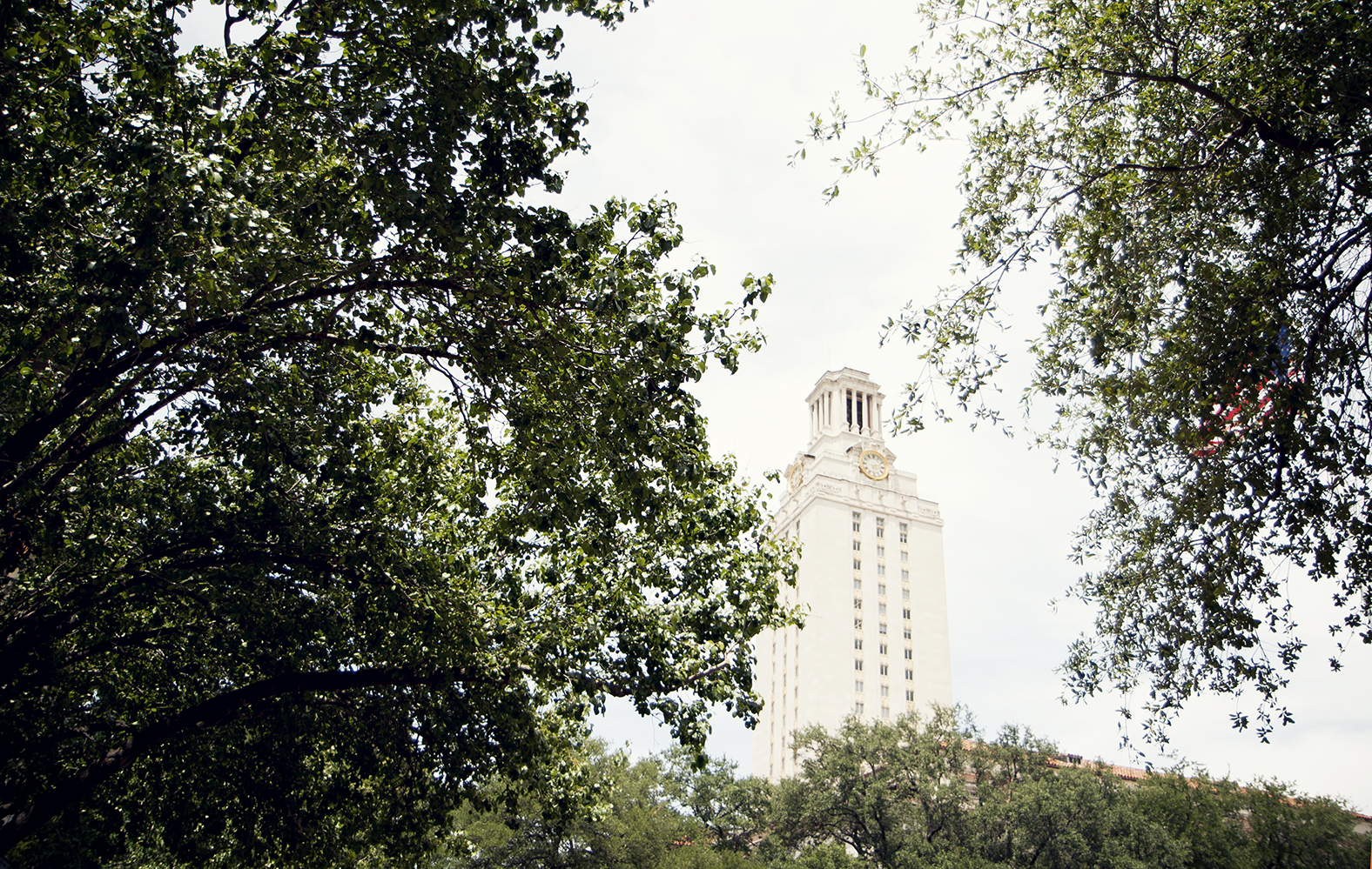 Trees and Tower